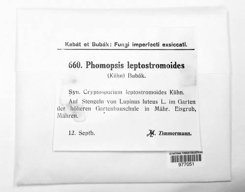 Phomopsis leptostromiformis image
